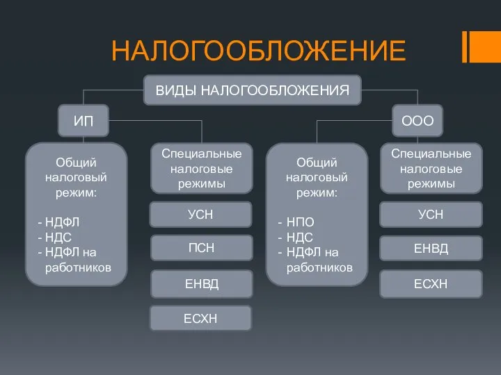 НАЛОГООБЛОЖЕНИЕ ВИДЫ НАЛОГООБЛОЖЕНИЯ ИП ООО Общий налоговый режим: НДФЛ НДС НДФЛ на