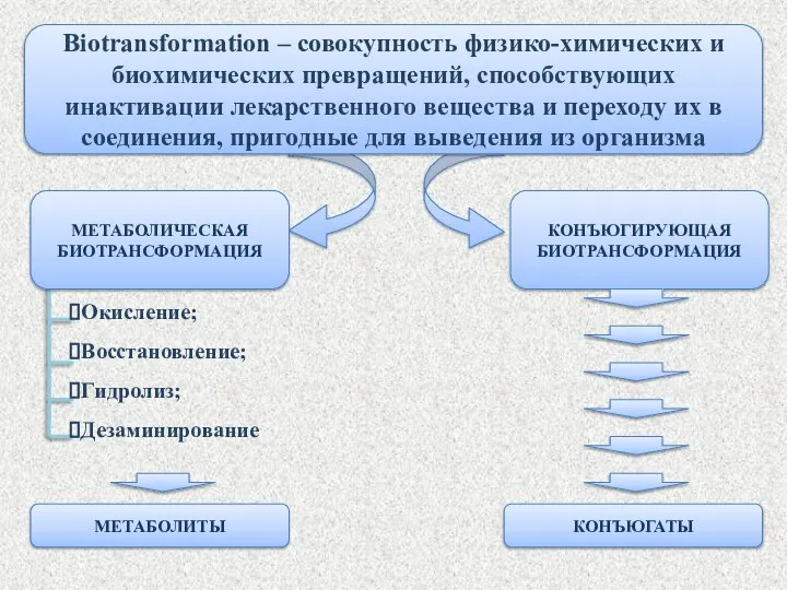 Biotransformation – совокупность физико-химических и биохимических превращений, способствующих инактивации лекарственного вещества и