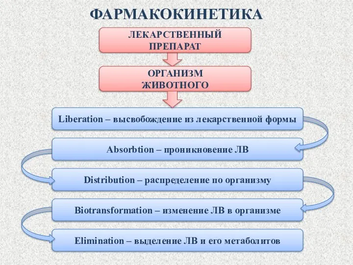 Elimination – выделение ЛВ и его метаболитов Biotransformation – изменение ЛВ в