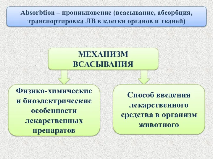 Absorbtion – проникновение (всасывание, абсорбция, транспортировка ЛВ в клетки органов и тканей)