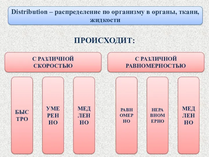 Distribution – распределение по организму в органы, ткани, жидкости ПРОИСХОДИТ: С РАЗЛИЧНОЙ