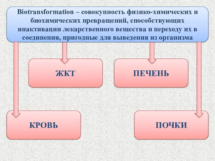 ПЕЧЕНЬ ЖКТ Biotransformation – совокупность физико-химических и биохимических превращений, способствующих инактивации лекарственного