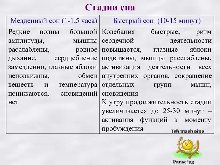 Стадии сна