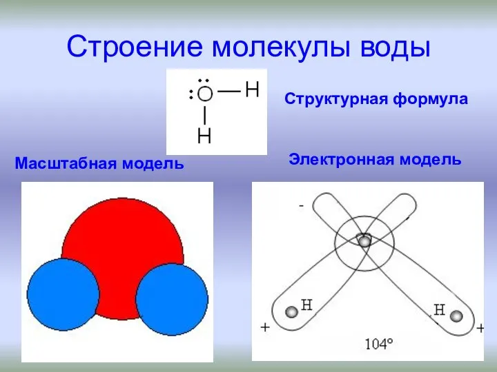 Строение молекулы воды Масштабная модель Электронная модель Структурная формула