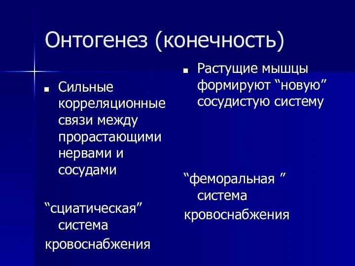 Онтогенез (конечность) Сильные корреляционные связи между прорастающими нервами и сосудами “сциатическая” система