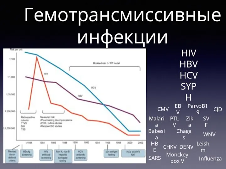 Гемотрансмиссивные инфекции HIV HBV HCV SYPH CMV EBV ParvoB19 CJD Malaria PTLV