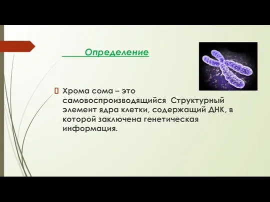 Определение Хрома сома – это самовоспроизводящийся Структурный элемент ядра клетки, содержащий ДНК,