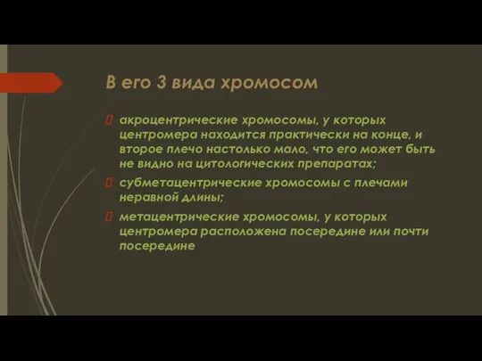 В его 3 вида хромосом акроцентрические хромосомы, у которых центромера находится практически