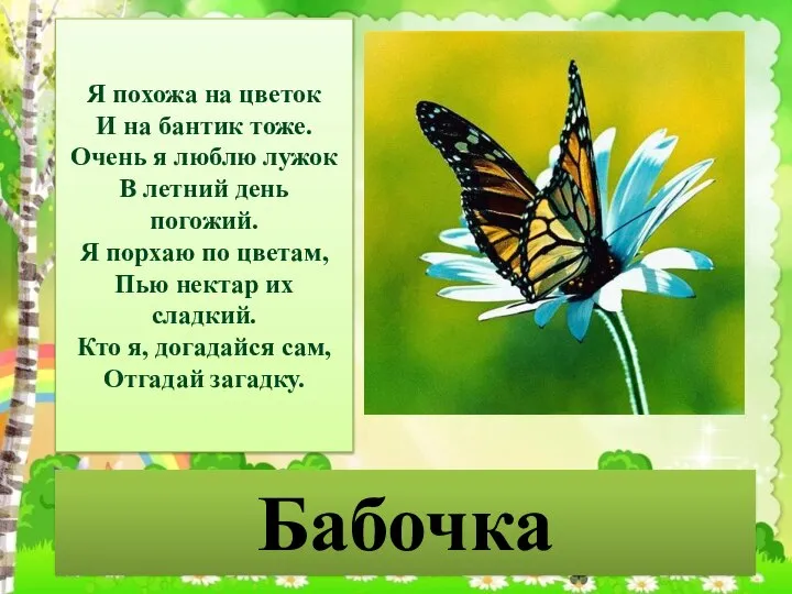 Бабочка Я похожа на цветок И на бантик тоже. Очень я люблю