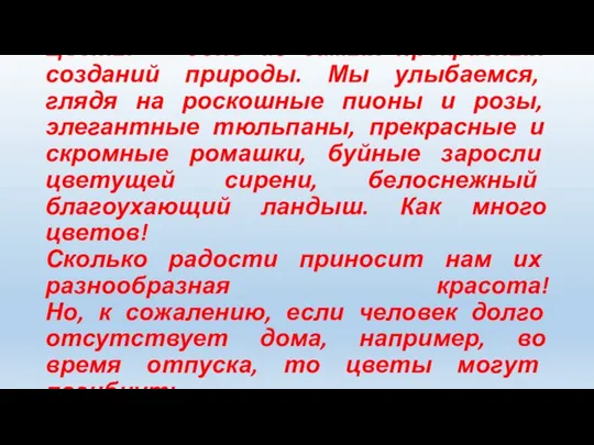 Цветы — одно из самых прекрасных созданий природы. Мы улыбаемся, глядя на