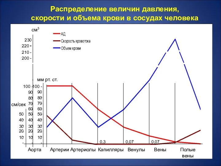 Распределение величин давления, скорости и объема крови в сосудах человека 0,3 0,07