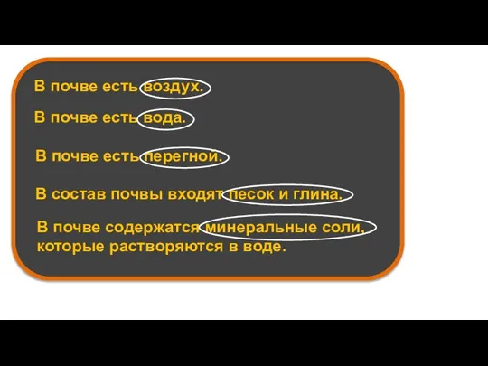 В почве есть воздух. В почве есть вода. В почве есть перегной.