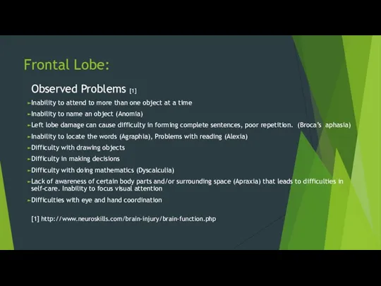 Frontal Lobe: Observed Problems [1] Inability to attend to more than one