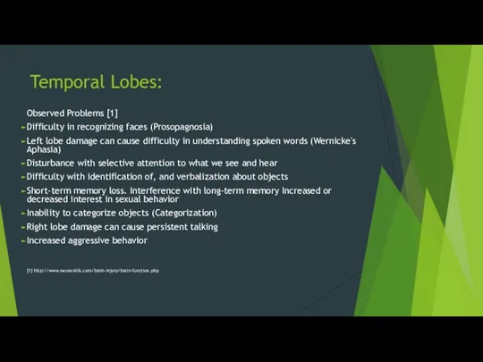 Temporal Lobes: Observed Problems [1] Difficulty in recognizing faces (Prosopagnosia) Left lobe