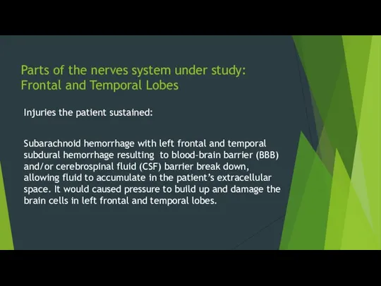 Parts of the nerves system under study: Frontal and Temporal Lobes Injuries