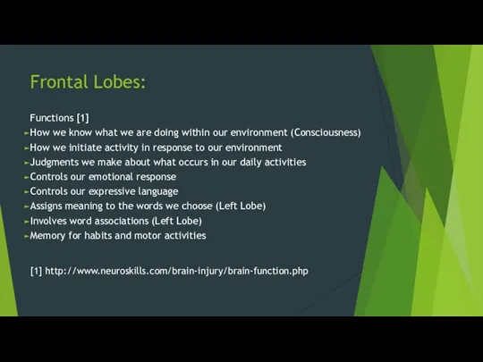 Frontal Lobes: Functions [1] How we know what we are doing within