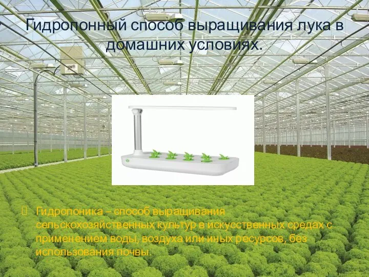 Гидропонный способ выращивания лука в домашних условиях. Гидропоника – способ выращивания сельскохозяйственных