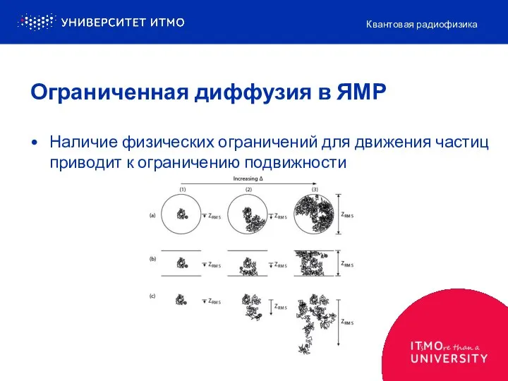 Наличие физических ограничений для движения частиц приводит к ограничению подвижности Квантовая радиофизика Ограниченная диффузия в ЯМР