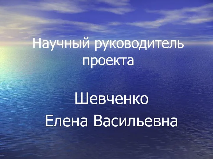 Научный руководитель проекта Шевченко Елена Васильевна