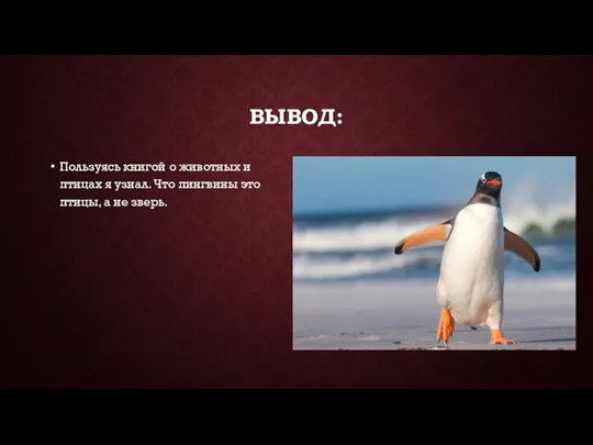 ВЫВОД: Пользуясь книгой о животных и птицах я узнал. Что пингвины это птицы, а не зверь.