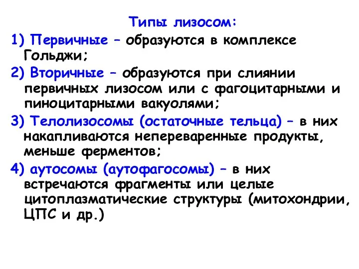 Типы лизосом: 1) Первичные – образуются в комплексе Гольджи; 2) Вторичные –