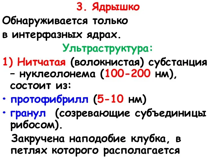 3. Ядрышко Обнаруживается только в интерфазных ядрах. Ультраструктура: 1) Нитчатая (волокнистая) субстанция