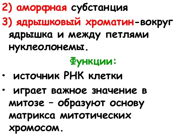 2) аморфная субстанция 3) ядрышковый хроматин-вокруг ядрышка и между петлями нуклеолонемы. Функции: