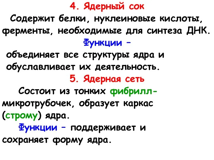 4. Ядерный сок Содержит белки, нуклеиновые кислоты, ферменты, необходимые для синтеза ДНК.