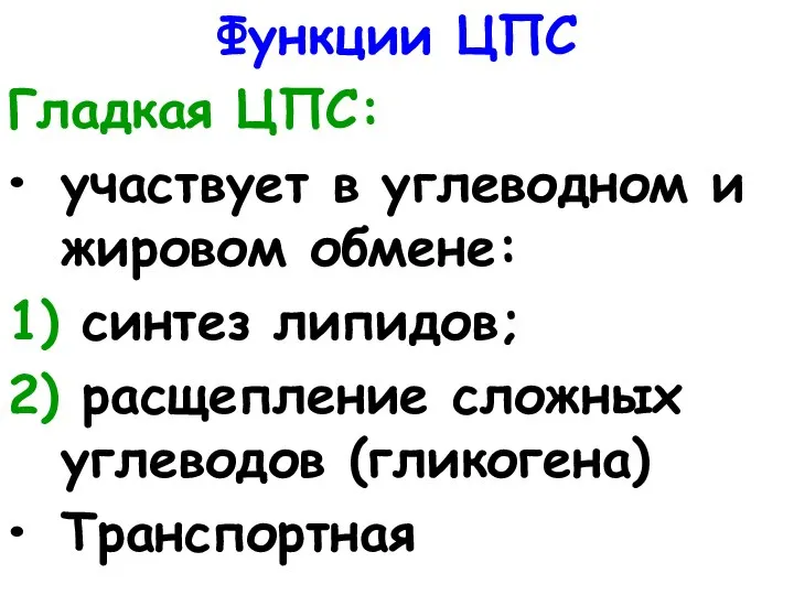 Функции ЦПС Гладкая ЦПС: участвует в углеводном и жировом обмене: 1) синтез