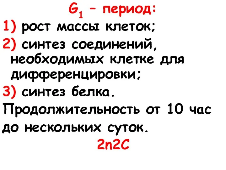 G1 – период: 1) рост массы клеток; 2) синтез соединений, необходимых клетке