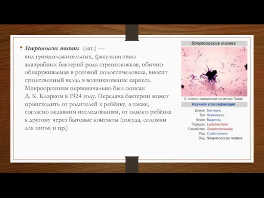 Streptococcus mutans (лат.) — вид грамположительных, факультативно анаэробных бактерий рода стрептококков, обычно