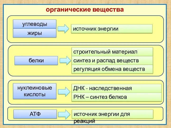 органические вещества