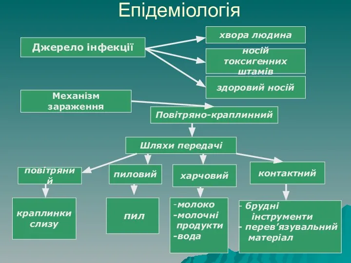 Епідеміологія Джерело інфекції хвора людина носій токсигенних штамів здоровий носій Механізм зараження