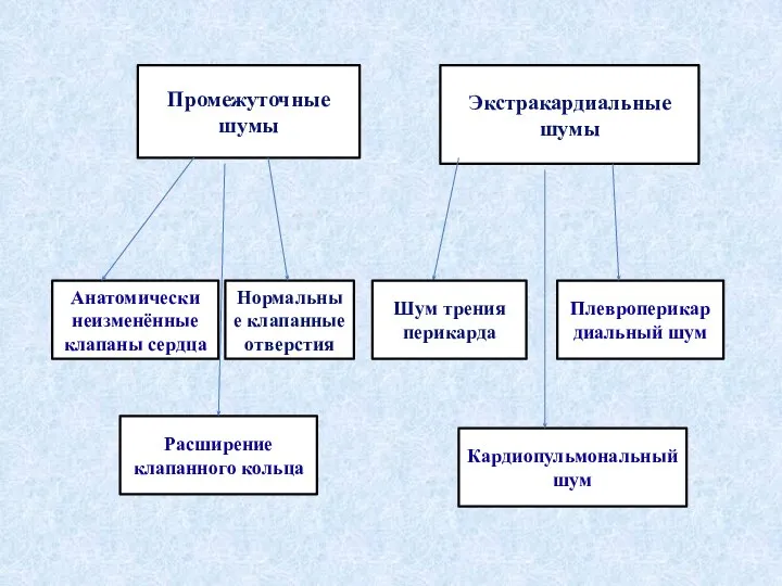 Промежуточные шумы Экстракардиальные шумы Шум трения перикарда Плевроперикар диальный шум Кардиопульмональный шум