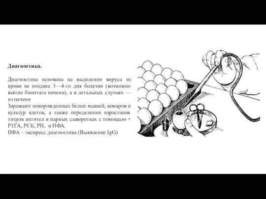 Диагностика. Диагностика основана на выделении вируса из крови не позднее 3—4-го дня