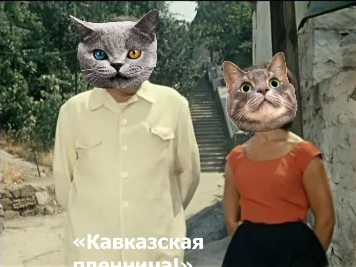 «Кавказская пленница!»