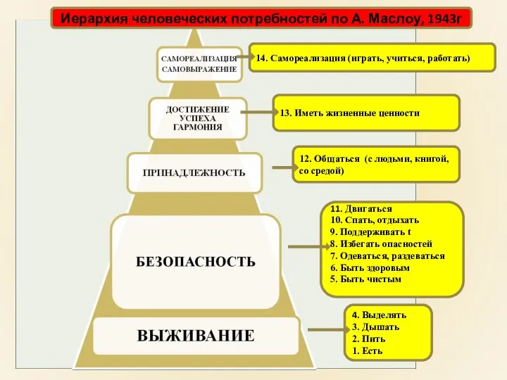 Иерархия человеческих потребностей по А. Маслоу, 1943г 11. Двигаться 10. Спать, отдыхать