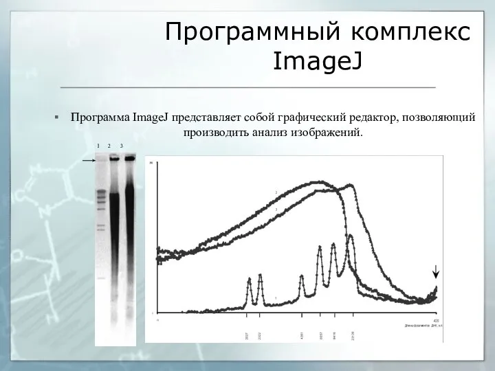 Программный комплекс ImageJ Программа ImageJ представляет собой графический редактор, позволяющий производить анализ изображений.