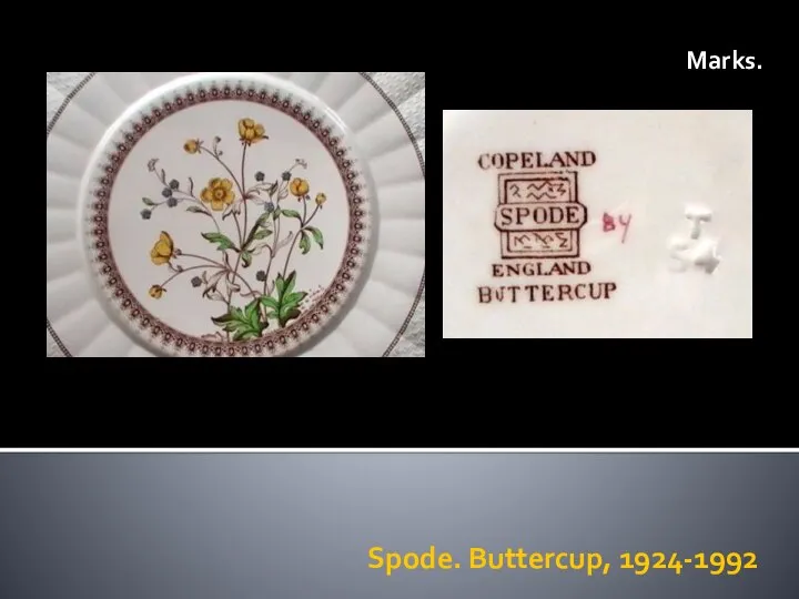 Spode. Buttercup, 1924-1992 Marks.