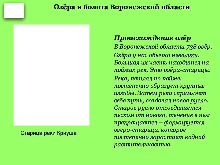 Озёра и болота Воронежской области Происхождение озёр В Воронежской области 738 озёр.