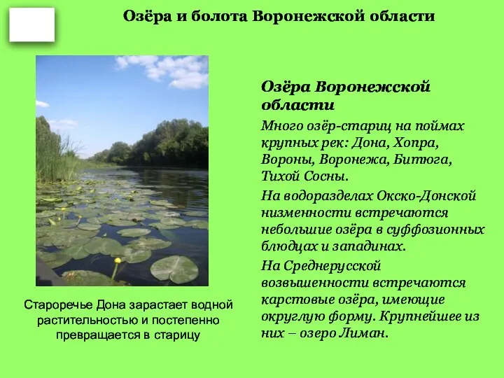 Озёра и болота Воронежской области Озёра Воронежской области Много озёр-стариц на поймах