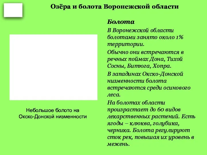 Озёра и болота Воронежской области Болота В Воронежской области болотами занято около