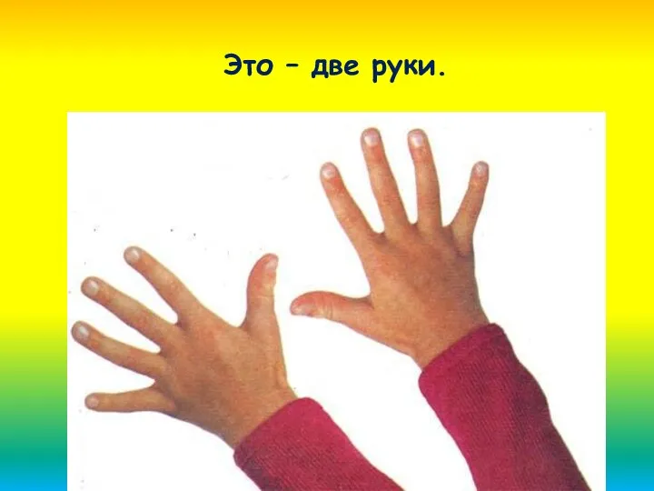 Это – две руки.