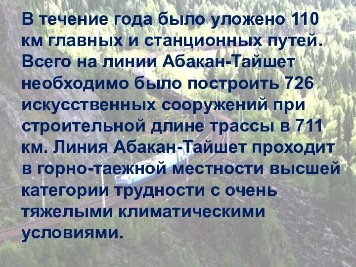 В течение года было уложено 110 км главных и станционных путей. Всего