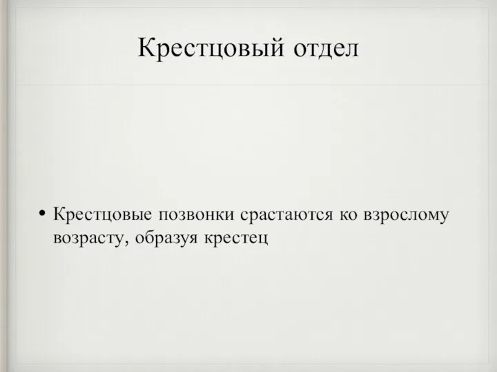 Крестцовый отдел Крестцовые позвонки срастаются ко взрослому возрасту, образуя крестец