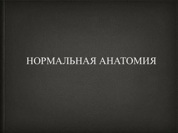 НОРМАЛЬНАЯ АНАТОМИЯ