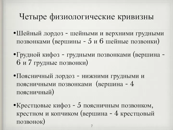 Четыре физиологические кривизны Шейный лордоз - шейными и верхними грудными позвонками (вершины