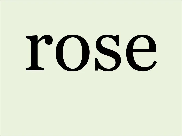 rose