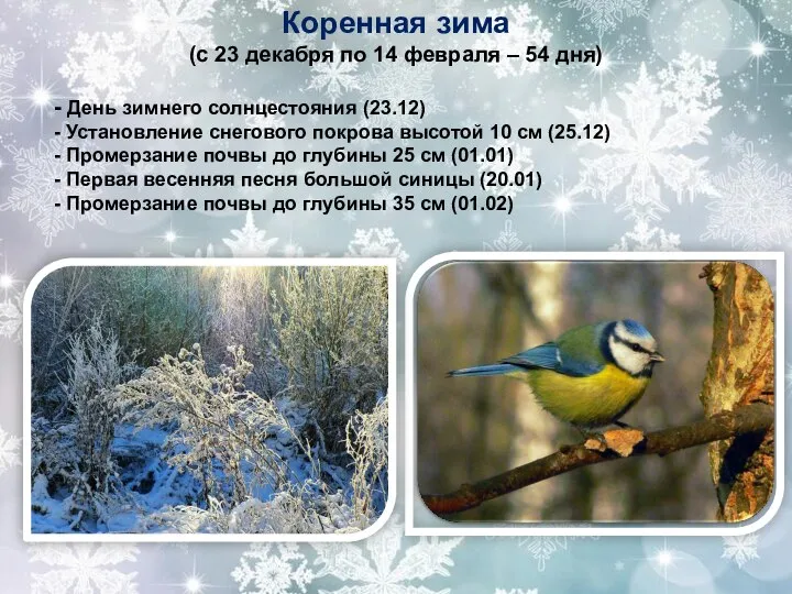 Коренная зима (с 23 декабря по 14 февраля – 54 дня) -