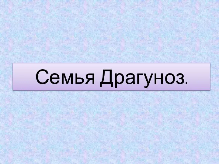 Семья Драгуноз.